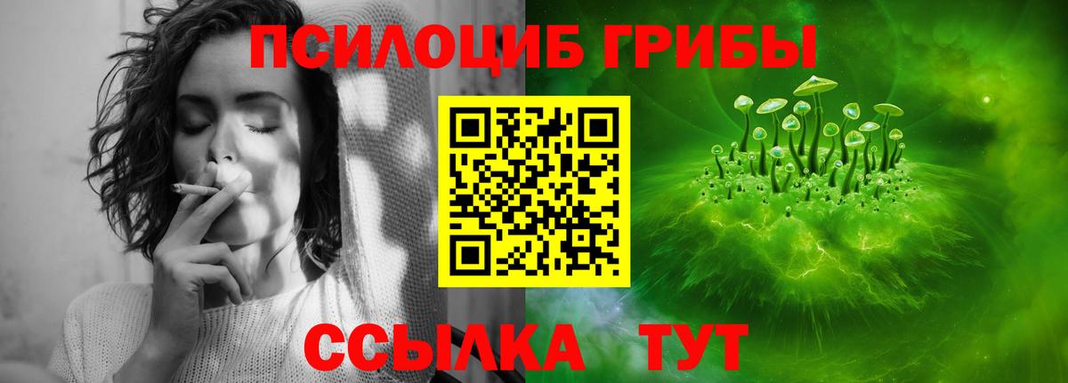Псилоцибиновые грибы MAGIC MUSHROOMS  Вход с VPN  Чапаевск  Псилоцибиновые грибы мухоморы 